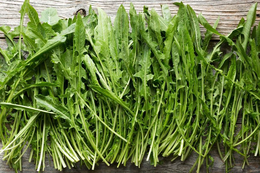 Dandelions for Dinner