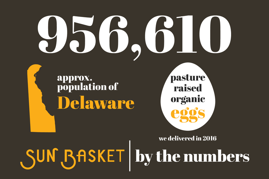 Sun Basket 2016 measured in elephants, swimming pools, and kegs of beer