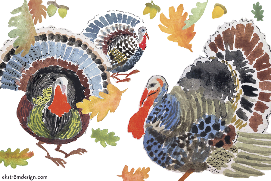Five Things You Don’t Need to Do to Your Holiday Turkey