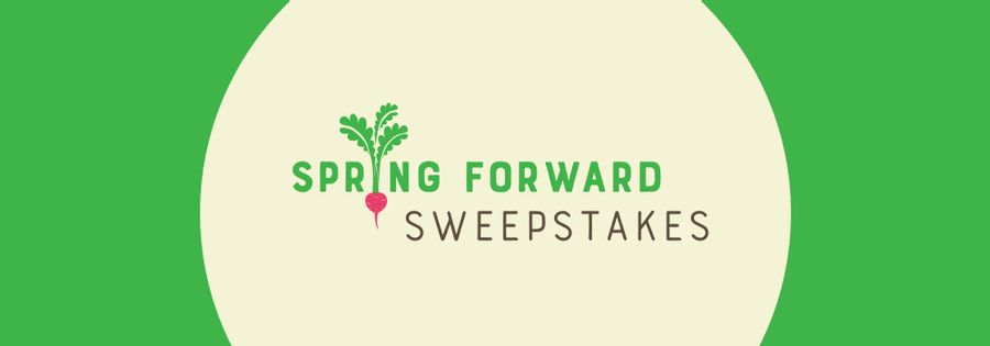Spring Forward Sweepstakes Official Rules