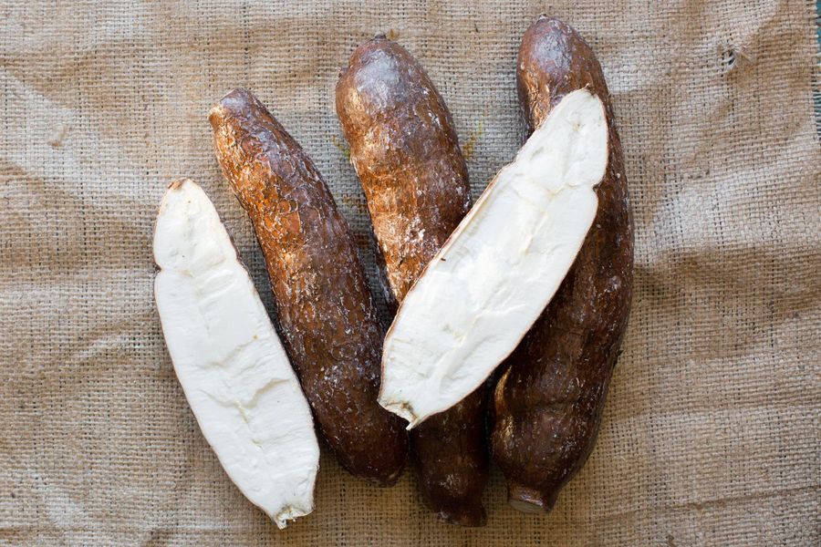 A User's Guide to Yuca