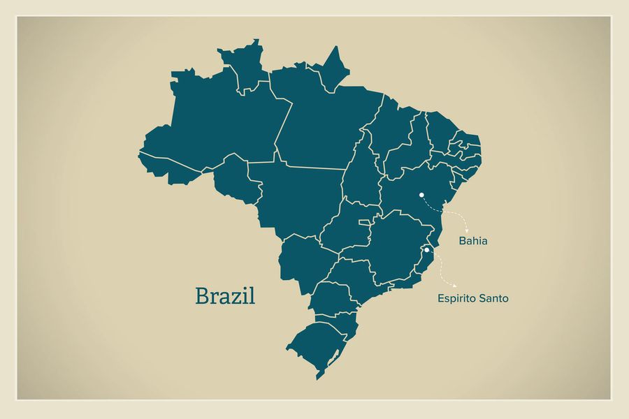 Our Brazilian Seafood Stew Brings Out the Competitive Streak in our Executive Team