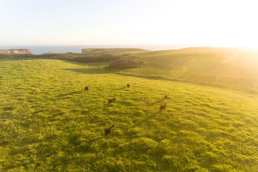 Farms We Love