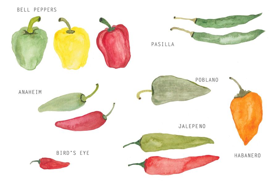 March Market Watch: Pepper Picking