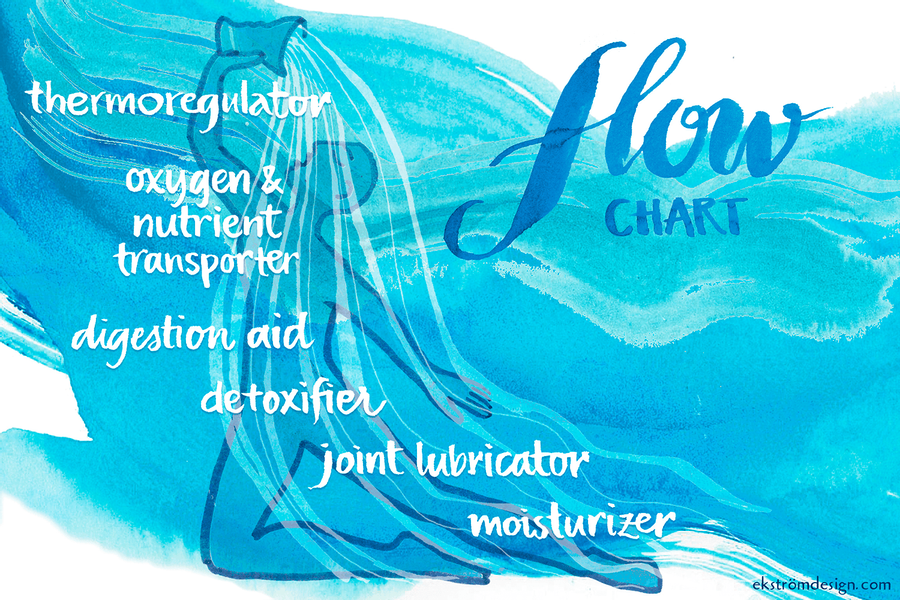 Hydrate for a Healthier You