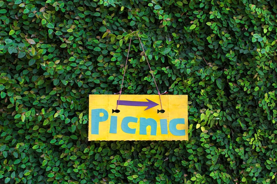 Make Your Own Signs