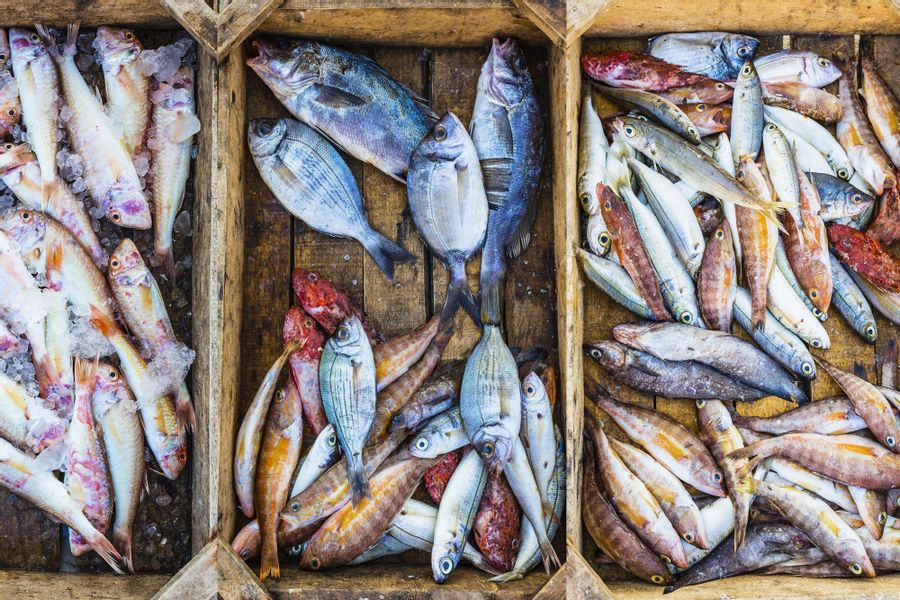 Fitter, happier, more productive—eating the Hellenic way