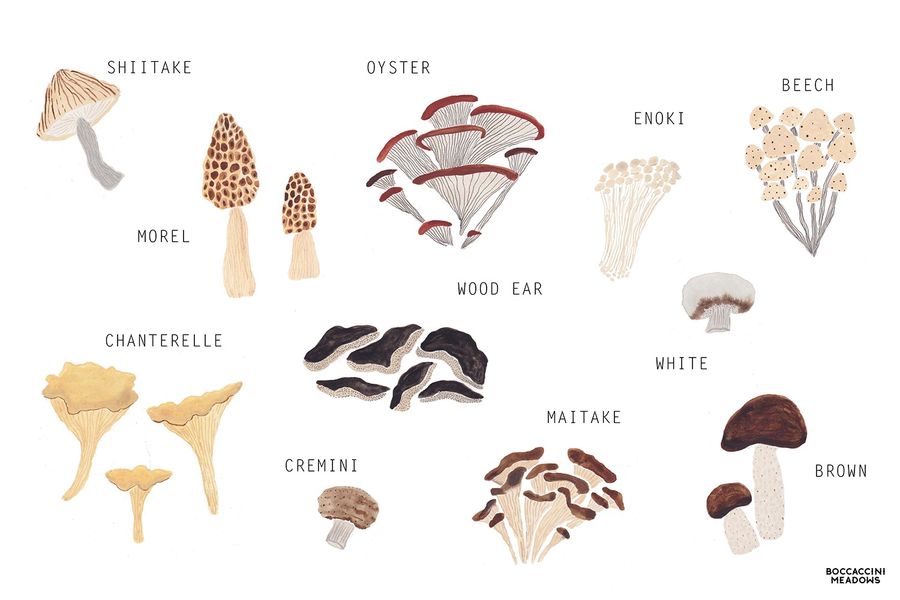 January Market Watch: Mushroom Magic