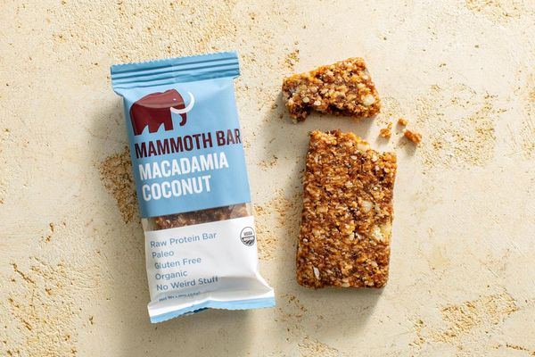 Organic Raw Protein Bar, Coconut Macadamia (2 count)