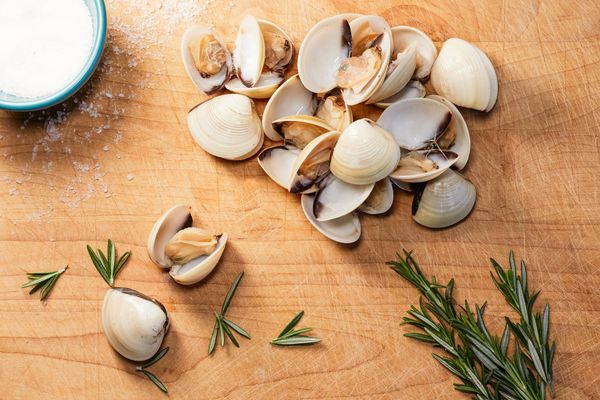 Cooked White Clams