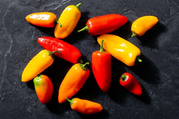 Organic sweet mini peppers